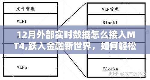 金融新世界探索，十二月MT4實時數據接入方法與策略
