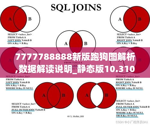 7777788888新版跑狗圖解析,數據解讀說明_靜態版10.310