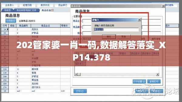 202管家婆一肖一碼,數(shù)據(jù)解答落實(shí)_XP14.378