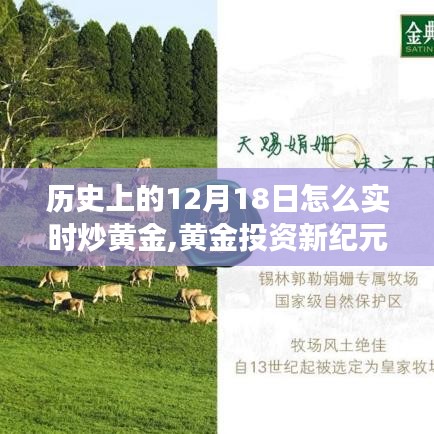 黃金投資新紀元，科技引領下的實時交易體驗與黃金市場走勢解析（12月18日篇）
