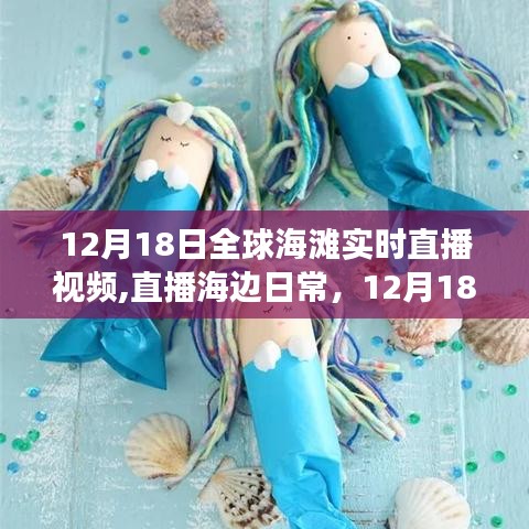 12月18日全球海灘直播，海洋見證愛與陪伴的溫馨瞬間