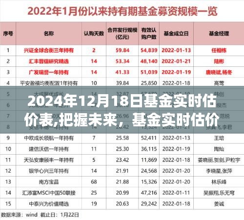 基金實時估價表背后的智慧與勇氣，把握未來，自信成就夢想之旅的啟示（2024年12月18日）