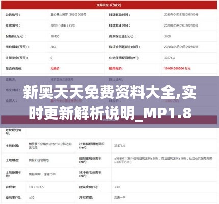新奧天天免費資料大全,實時更新解析說明_MP1.891
