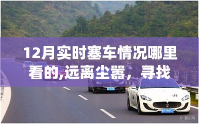 12月旅行路上的塞車風景探索，尋找心靈綠洲與實時路況美景體驗