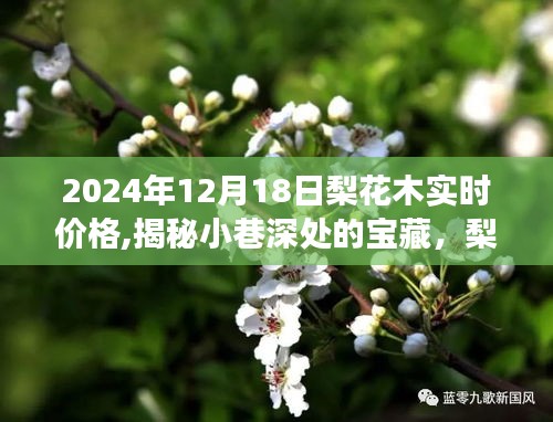 揭秘時光之木特色小店，梨花木價格風向標，2024年最新實時價格揭曉