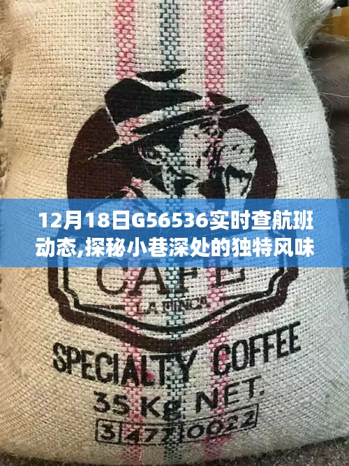 探秘隱藏小巷的獨特風味與G56536航班背后的故事，一家神秘小店的探索之旅