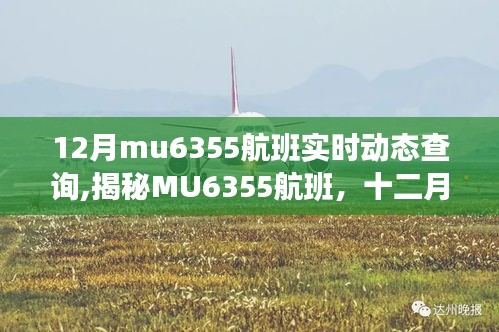 揭秘MU6355航班，十二月飛行軌跡與時(shí)代印記的實(shí)時(shí)動(dòng)態(tài)查詢