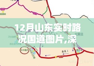 深度評測與解析，12月山東國道實時路況及圖片全面回顧