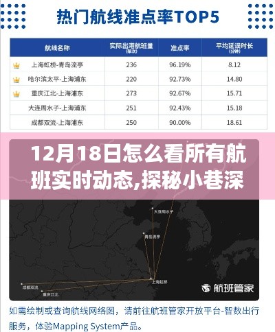 探秘航班實時動態情報站，追蹤藍天軌跡的秘境之旅（12月18日）
