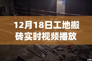 12月18日工地搬磚背后的美景探索與心靈之旅實時直播