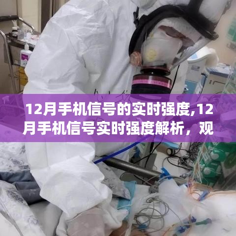 深度解析，12月手機信號實時強度與觀點闡述