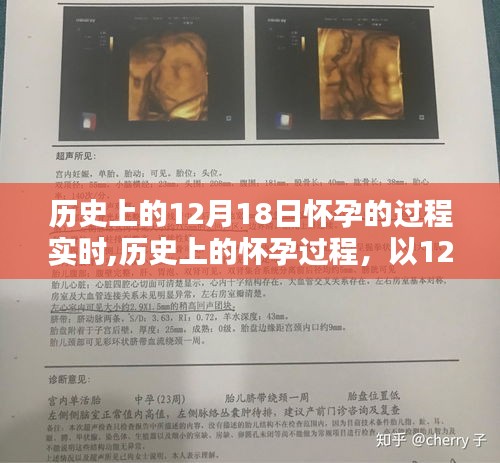 環(huán)肥燕瘦 第4頁