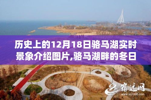 駱馬湖畔的冬日奇遇，追尋歷史中的溫暖瞬間與實時景象介紹圖片