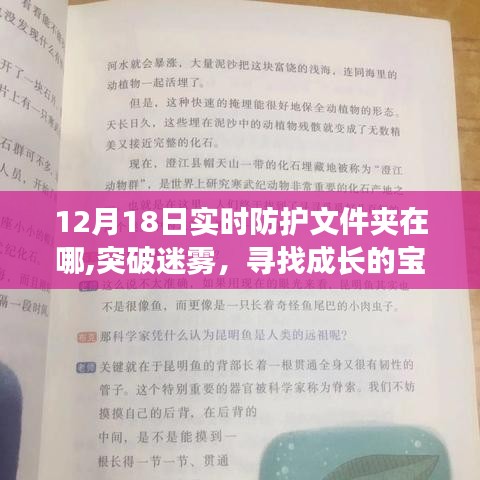 揭秘實時防護文件夾位置，成長的寶藏與變化中的守護之地