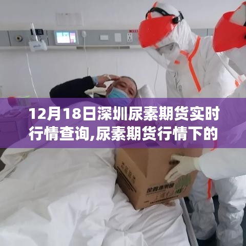 深圳尿素期貨實時行情與冬日自然美景探索的心靈之旅