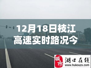 下里巴人 第3頁(yè)