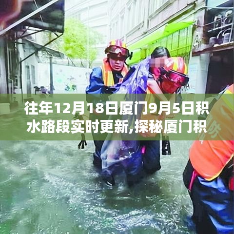 廈門積水路段實時更新，探秘特色小巷與奇趣小店