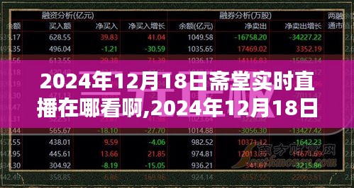 齋堂直播指南，如何觀看與討論2024年12月18日的齋堂實(shí)時(shí)直播