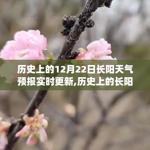 歷史上的長(zhǎng)陽(yáng)天氣預(yù)報(bào)探尋，數(shù)據(jù)背后的故事與變遷——實(shí)時(shí)更新中的歷史數(shù)據(jù)解析