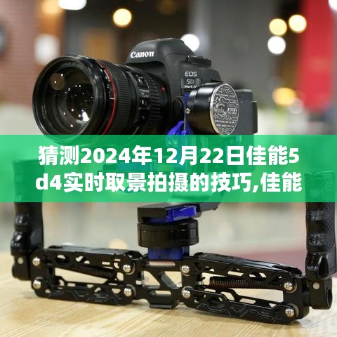雍容華貴 第3頁