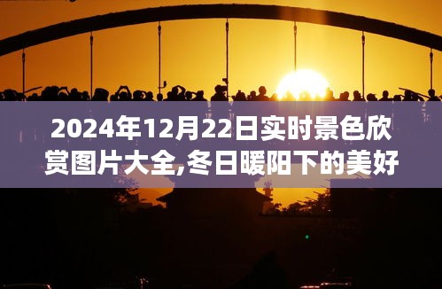 冬日暖陽下的美景瞬間，實時景色欣賞之旅，記錄美好時光，2024年12月22日實拍圖片大全分享