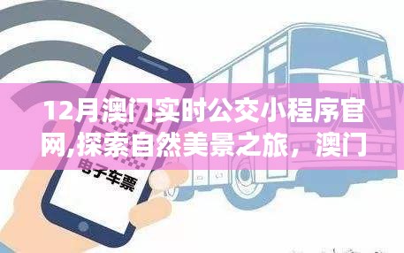 澳門公交小程序，探索自然美景之旅，寧?kù)o平和的出行伴侶