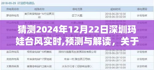 關于深圳瑪娃臺風在2024年12月22日的實時動態分析與預測解讀
