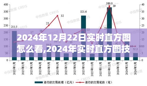 深度解析，如何解讀2024年12月22日市場走勢的直方圖應用與實時技術評測