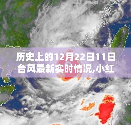 揭秘歷史日期中的臺風風云，第11號臺風最新實時情況盡在小紅書掌握之中????