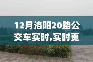 12月洛陽20路公交車實時動態(tài)，暢游古都的便捷交通選擇