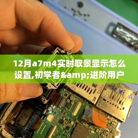 初學者與進階用戶適用的12月A7M4實時取景顯示設置指南