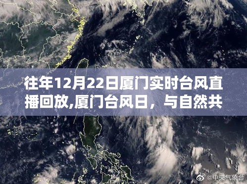 廈門臺風日，與自然共舞，尋找內心的寧靜港灣回放紀實