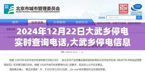 大武鄉停電實時查詢指南，2024年12月22日查詢電話及步驟詳解