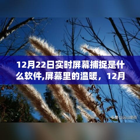 捕捉時(shí)光的軟件故事，屏幕溫暖背后的秘密
