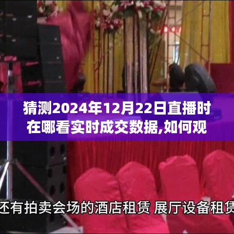 2024年12月22日直播實時成交數據觀看指南，如何在線獲取詳細步驟