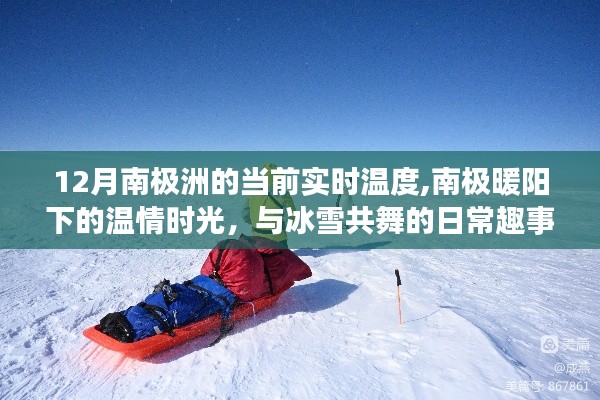 南極洲12月實時溫度揭秘，暖陽下的溫情時光與冰雪生活的日常趣事