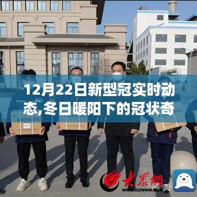 冬日暖陽(yáng)下的奇跡，新型冠實(shí)時(shí)動(dòng)態(tài)與美景邂逅之旅