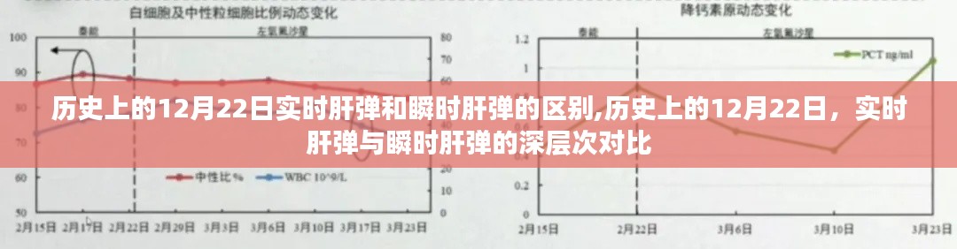 歷史上的12月22日，實(shí)時(shí)肝彈與瞬時(shí)肝彈的深入對(duì)比與區(qū)別探討