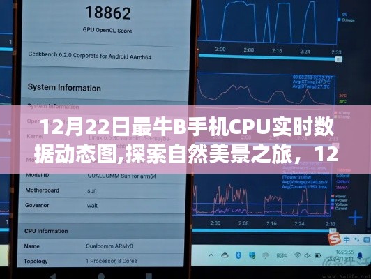 12月22日手機(jī)CPU實(shí)時(shí)數(shù)據(jù)動(dòng)態(tài)圖，探索自然美景，領(lǐng)略寧靜之美之旅
