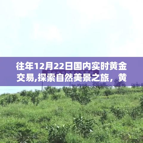 屨賤踴貴 第3頁