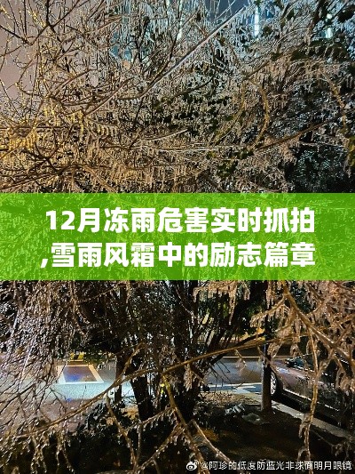 雪雨風霜中的勵志篇章，凍雨危害下的學習與自信成長之路