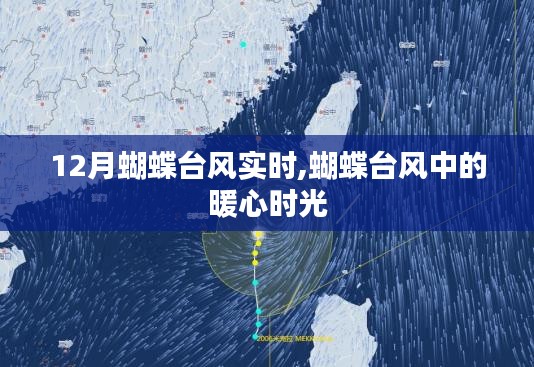蝴蝶臺風(fēng)中的暖心時刻，實(shí)時追蹤報道與溫情分享