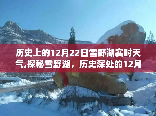 雪野湖歷史實時天氣揭秘，探尋12月22日的獨特風(fēng)情與小巷韻味