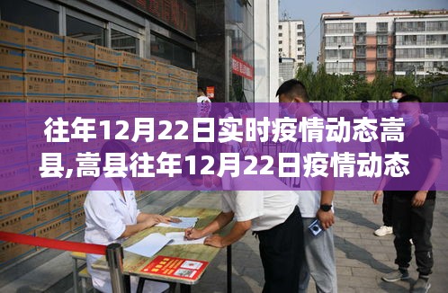 嵩縣歷年12月22日疫情動態分析與觀點洞察