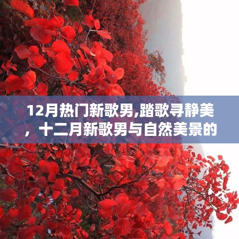 十二月新歌男踏歌尋靜美，與自然美景的浪漫邂逅之旅
