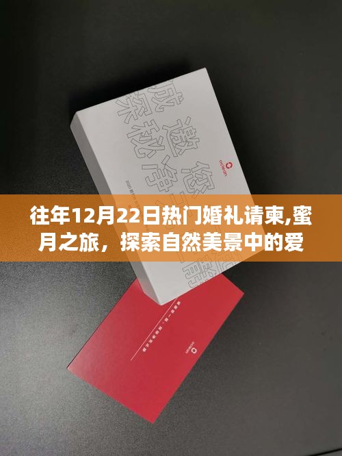 遠離塵囂的婚禮冒險，探索自然美景中的愛情誓言與蜜月之旅的浪漫啟程