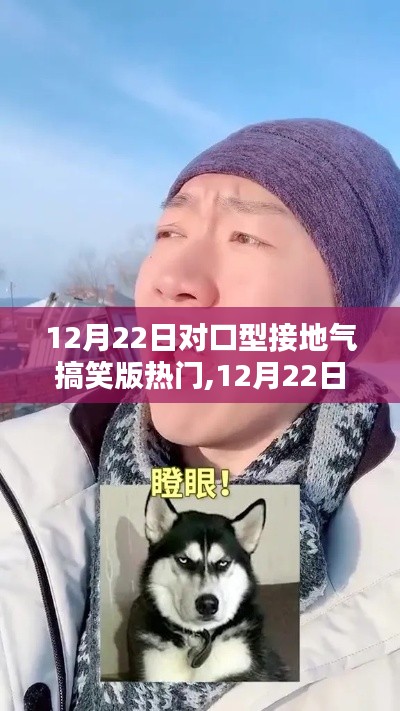 12月22日對口型接地氣搞笑版熱門全面評測與介紹，歡樂不停歇