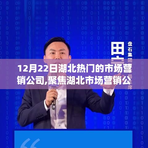 湖北市場營銷公司行業(yè)領(lǐng)軍者的策略與魅力探尋（日期，12月22日）