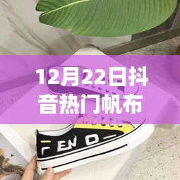 抖音熱門聯(lián)名帆布鞋女款，科技潮流融合之作重磅來襲