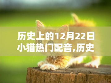 囊螢映雪 第3頁